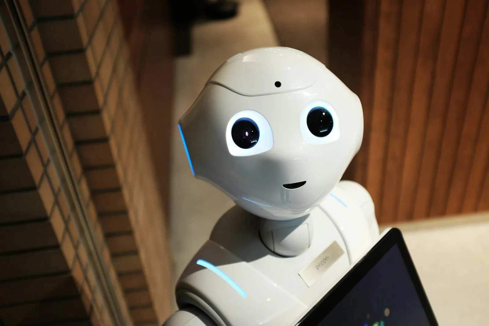 AI & LLM development